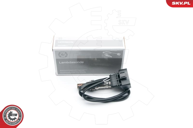 09SKV656