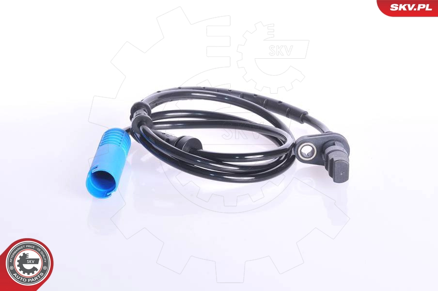 06SKV066