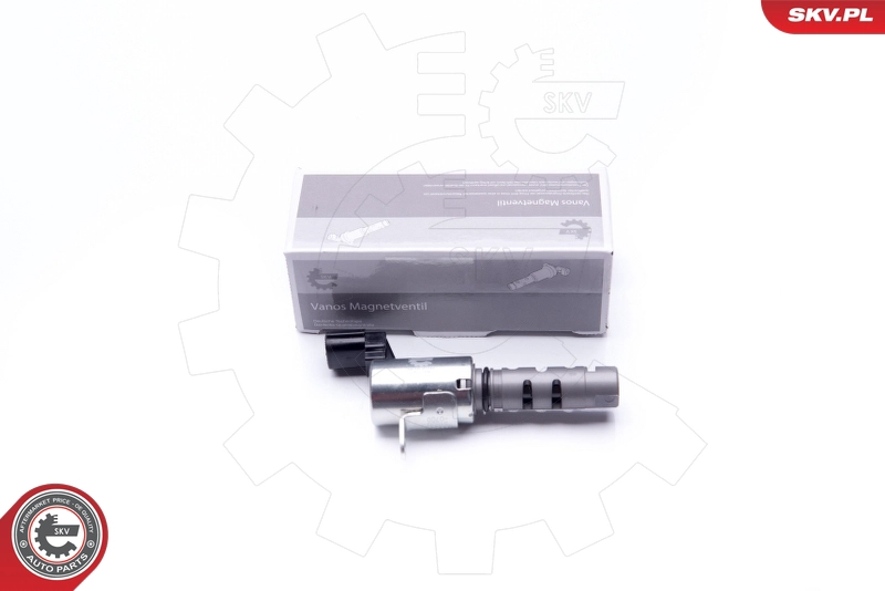 39SKV032