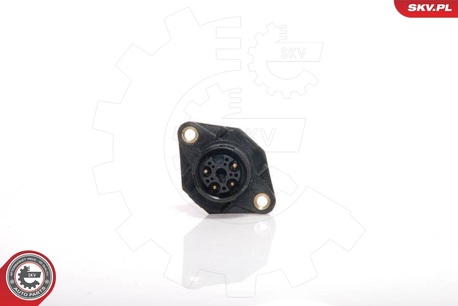 07SKV022