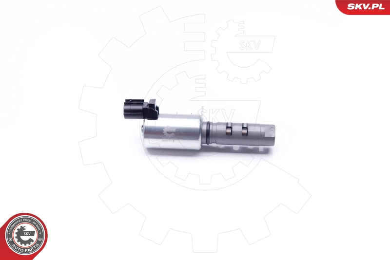 39SKV029
