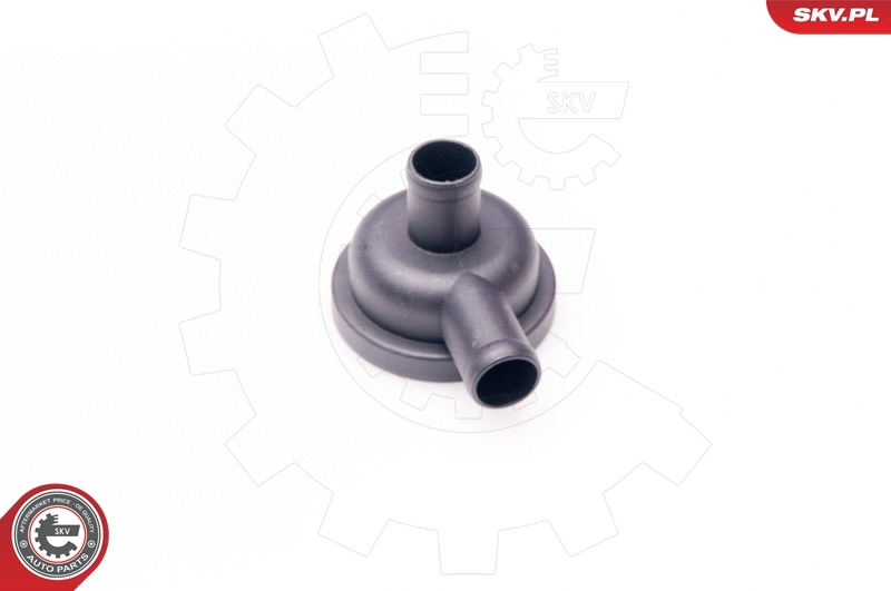31SKV010