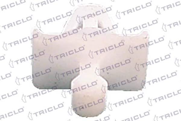 A0019884481
