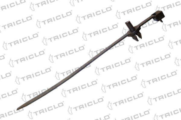 301294