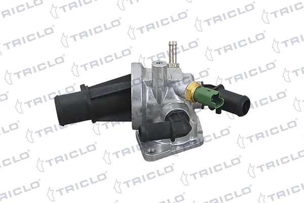 464323