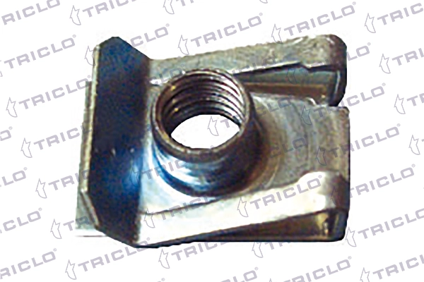A0039944245