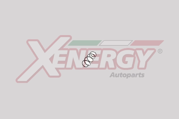 XSH2930