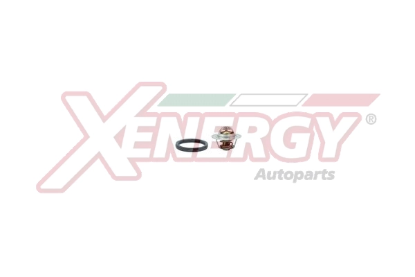 XT5955