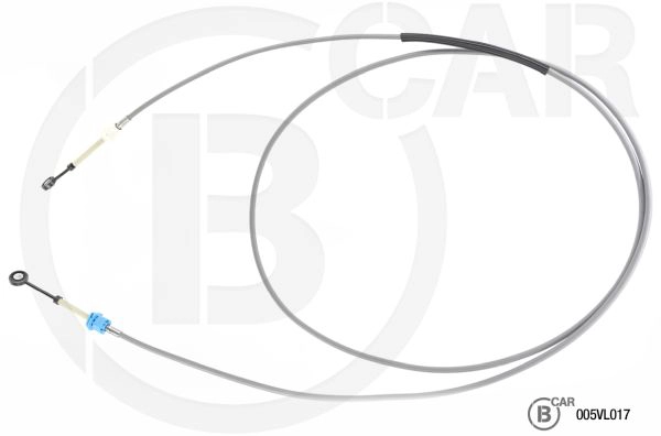 005VL017