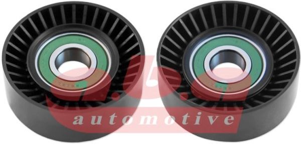 YP303923