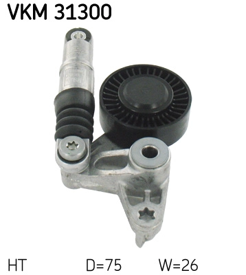 VKM 31300