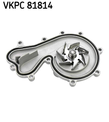VKPC 81814