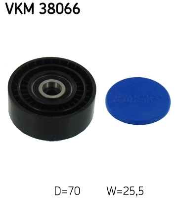 VKM 38066