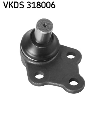 VKDS 318006
