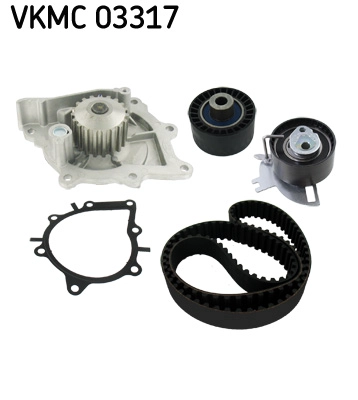 VKMC 03317