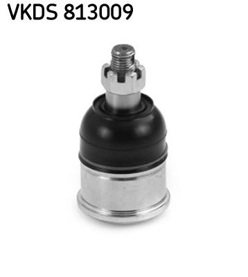 VKDS 813009