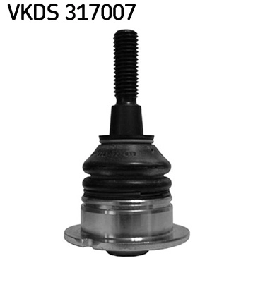 VKDS 317007