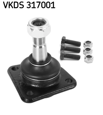 VKDS 317001