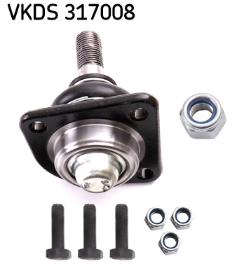 VKDS 317008