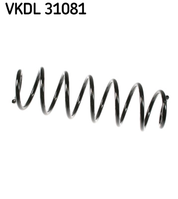 VKDL 31081