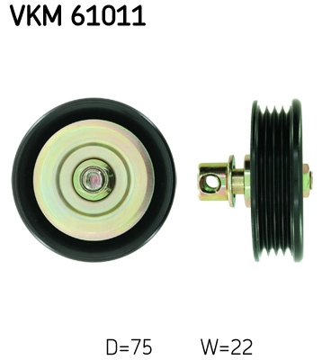 VKM 61011