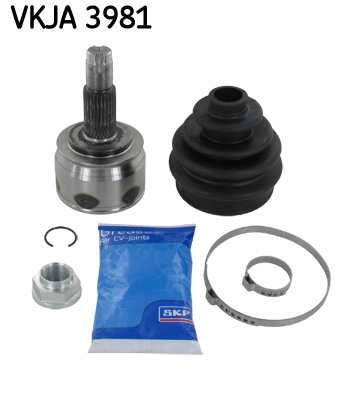 VKJA 3981