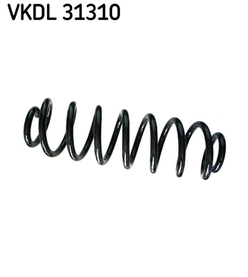 VKDL 31310