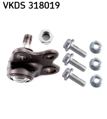 VKDS 318019