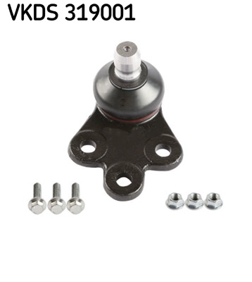 VKDS 319001