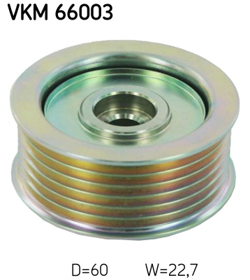 VKM 66003