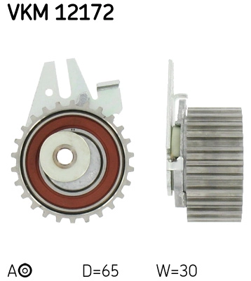 VKM 12172