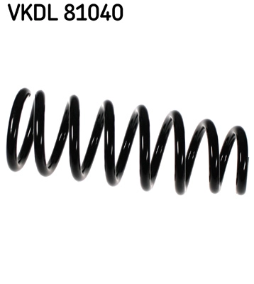 VKDL 81040
