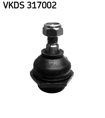 VKDS 317002