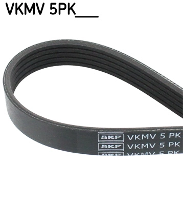 VKMV 5PK1010