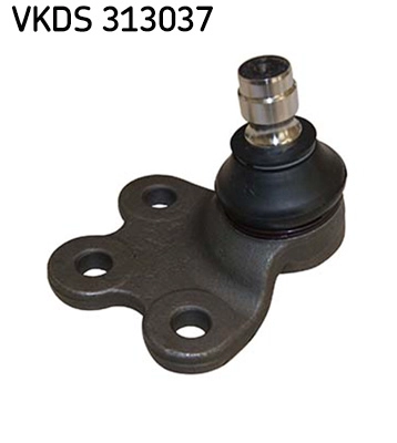 VKDS 313037