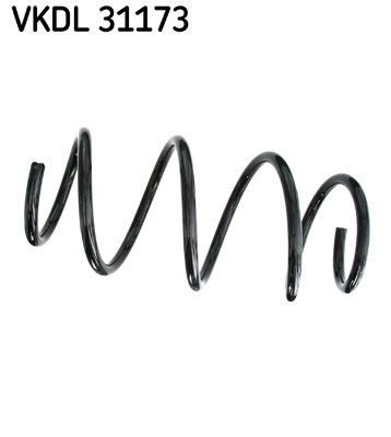 VKDL 31173