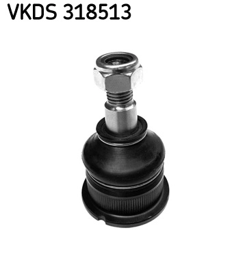VKDS 318513