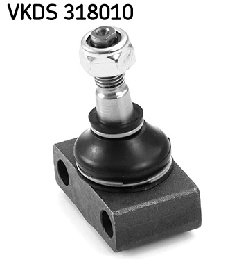 VKDS 318010