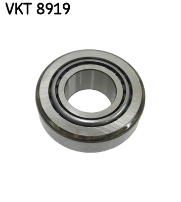 VKT 8919