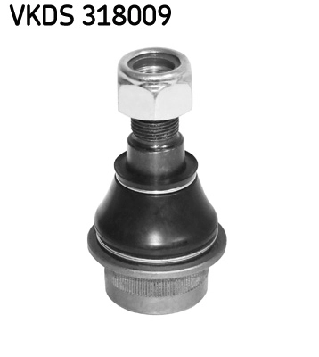 VKDS 318009