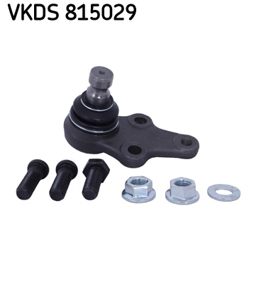 VKDS 815029