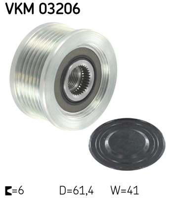 VKM 03206