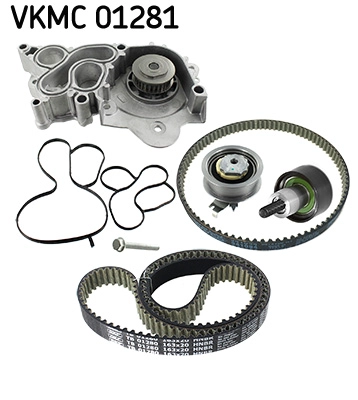 VKMC 01281
