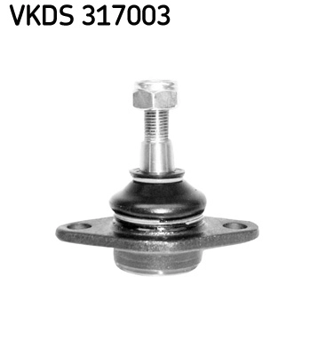 VKDS 317003