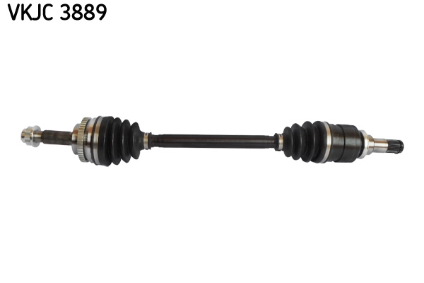 VKJC 3889