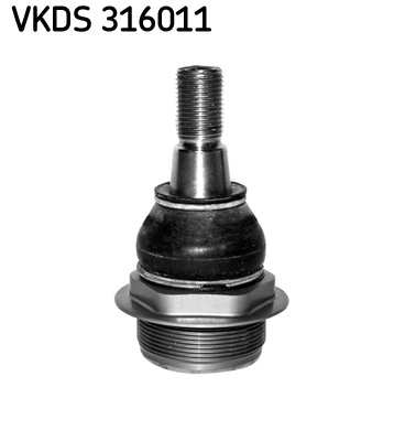 VKDS 316011