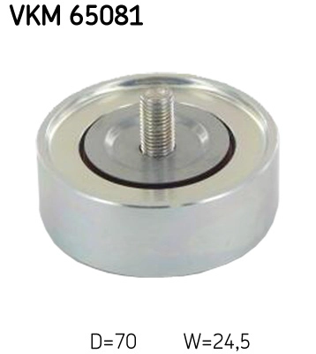 VKM 65081
