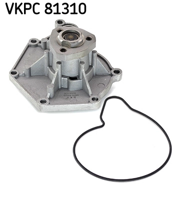 VKPC 81310