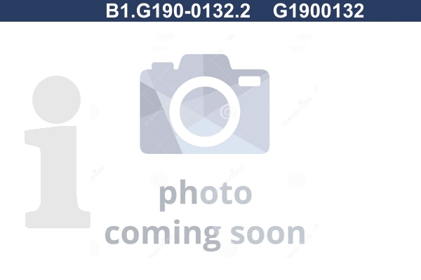 B1.G190-0132.2