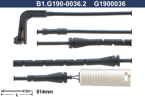 B1.G190-0036.2